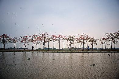 《炉石传说》国服PC端预载开启 9月25日回归